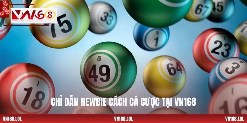 Chỉ dẫn newbie cách cá cược tại VN168