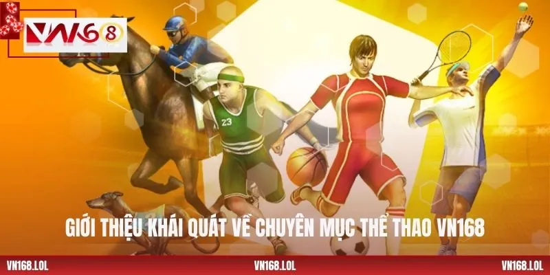 Giới thiệu khái quát về chuyên mục thể thao VN168