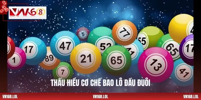 Thấu hiểu cơ chế bao lô đầu đuôi